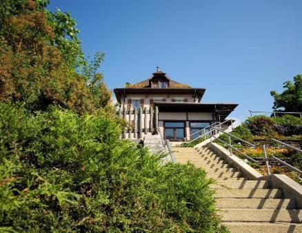 Hotel-Buffet De La Gare Chateau-d'Oex Dış mekan fotoğraf