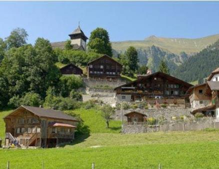 Hotel-Buffet De La Gare Chateau-d'Oex Dış mekan fotoğraf
